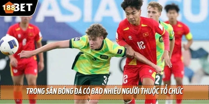 Trong Sân Bóng Đá Có Bao Nhiêu Người - Chia Sẻ Từ 188BET 2 Trong sân bóng đá có bao nhiêu người thuộc tổ chức